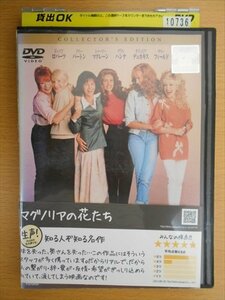 DVD レンタル版 マグノリアの花たち