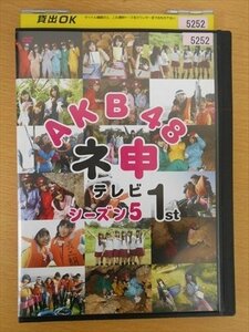 DVD レンタル版 AKB48 ネ申テレビ シーズン5 1st