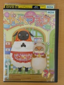 DVD レンタル版 やんやんマチコ 2