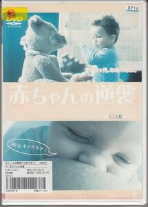 DVD レンタル版　赤ちゃんの逆襲　ティエリー・レルミット　オフェリエ・ウィンテル　レオノール・ワトリング