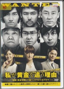 DVD レンタル版　私が黄金を追う理由 -映画「黄金を抱いて翔べ」スペシャルドラマ-　平山あや　木村了　妻夫木聡　浅野忠信