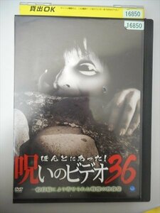 DVD レンタル版 ほんとにあった！呪いのビデオ36 一般投稿により寄せられた戦慄の映像集