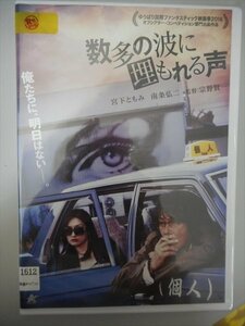 DVD レンタル版 数多の波に埋もれる声　宮下ともみ　南条弘二　井川哲也　酒井勇樹　長谷川摩耶