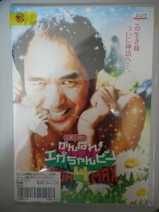 DVD レンタル版 江頭2：50の がんばれ!エガちゃんピン 4