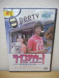 DVD レンタル版 ラブコネクター -恋愛工作人-　速水もこみち　加藤ローサ　市川由衣　坂下千里子　佐藤めぐみ