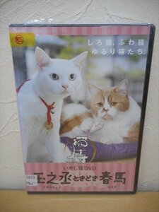 DVD レンタル版 猫侍 いやし猫DVD 玉之丞ときどき春馬　