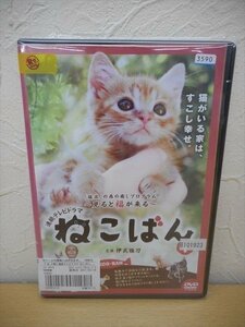 DVD レンタル版 連続テレビドラマ ねこばん 全3巻セット　ケースなし　伊武雅刀　