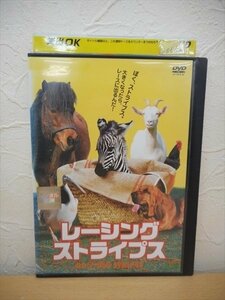 DVD レンタル版 洋画　レーシング・ストライプス
