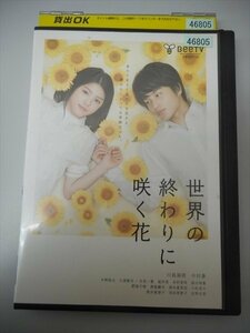 DVD レンタル版 世界の終わりに咲く花　川島海荷　中村蒼　中野裕太　久保酎吉