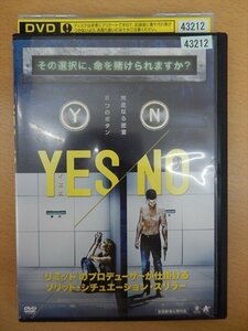 DVD レンタル版 YES/NO イエス・ノー