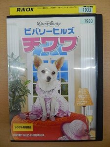 DVD レンタル版 ビバリーヒルズチワワ