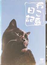 DVD レンタル版 ねこ島日記_画像1