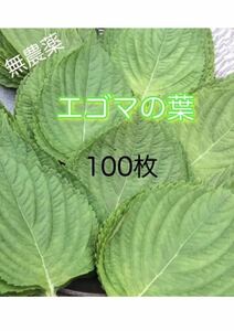 無農薬　エゴマの葉　100枚　ネコポス　韓国　野菜
