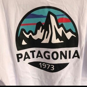 Patagonia Tシャツ ユニセックス Tシャツ ホワイト L Tシャツ