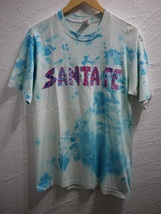 90s FRUITOFTHELOOM フルーツオブザルーム タイダイTシャツ カットソー ヴィンテージ T-shirt 5070_画像1