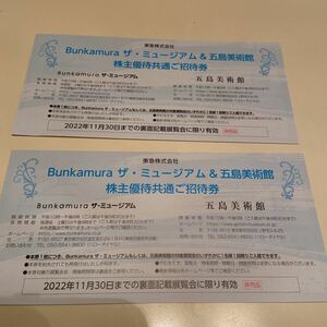 ザミュージアム Bunkamura 株主優待 ご招待券　二枚組セット