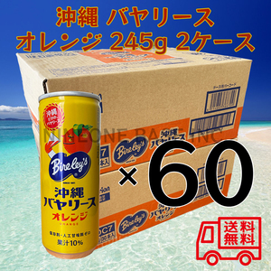 沖縄バヤリース オレンジ 245g 2ケース 60本 果汁10% 沖縄限定