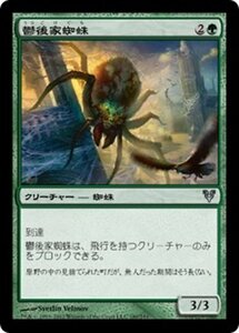 MTG ■緑/日本語版■《鬱後家蜘蛛/Gloomwidow》アヴァシンの帰還 AVR