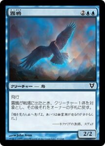 MTG ■青/日本語版■《霧鴉/Mist Raven》アヴァシンの帰還 AVR