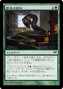 MTG ■緑/日本語版■《野生の飢え/Wild Hunger》★FOIL★ 闇の隆盛 DKA