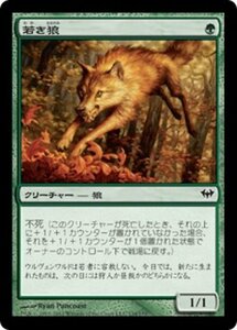 MTG ■緑/日本語版■《若き狼/Young Wolf》闇の隆盛 DKA