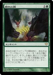 MTG ■緑/日本語版■《群れに餌/Feed the Pack》闇の隆盛 DKA