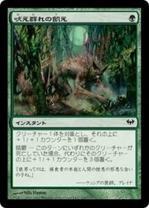 MTG ■緑/日本語版■《吠え群れの飢え/Hunger of the Howlpack》闇の隆盛 DKA