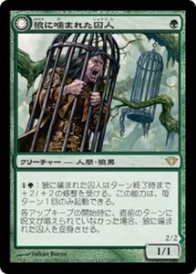 MTG ■緑/日本語版■《狼に噛まれた囚人/Wolfbitten Captive》闇の隆盛 DKA