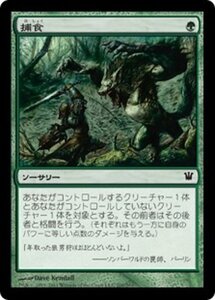 MTG ■緑/日本語版■《捕食/Prey Upon》★FOIL★ イニストラード ISD