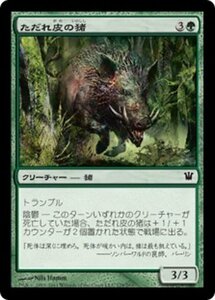 MTG ■緑/日本語版■《ただれ皮の猪/Festerhide Boar》イニストラード ISD