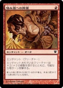 MTG ■赤/日本語版■《噛み傷への興奮/Furor of the Bitten》イニストラード ISD