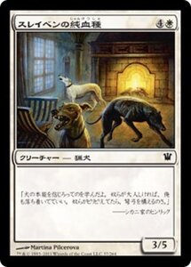 MTG ■白/日本語版■《スレイベンの純血種/Thraben Purebloods》イニストラード ISD