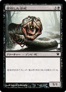 MTG ■黒/日本語版■《腐敗した沼蛇/Rotting Fensnake》イニストラード ISD