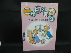 二度目の青春２ 何歳になっても男と女　近藤利三郎　LEVEL　LYO-16.220609