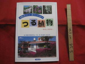 * Okinawa. street ...* garden ......... plant - special characteristic . use law - [ Okinawa *. lamp * nature * gardening ]