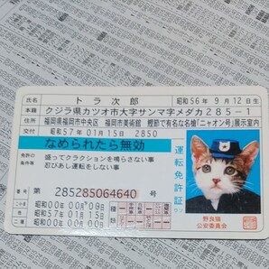 なめ猫 免許証 運転免許証 なめんなよ トラ