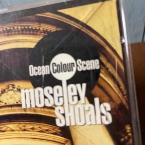 ☆D118 即決！再生確認済み Ocean colour scene オーシャンカラーシーン モーズリーショールズ moseley shoalsの画像2