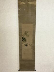 時代物 掛軸 [もみじ] 素文 37×158cm 掛け軸 絹本 落款 日本画 彩色水墨画 旧家うぶだし 骨董品