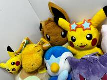 ◆73-16 ポケモン ぬいぐるみ センター 渋谷 限定品有 Sekiguchi タグ付多数 ガラル メッソン ピカチュウ ゼニガメ ポッチャマ 大量 まとめ_画像2