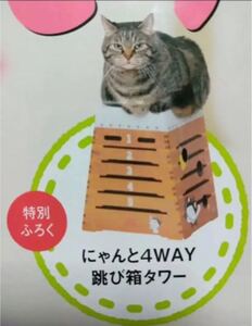 ねこのきもち 付録 ハチコの4WAY猫用ダンボール跳び箱タワー