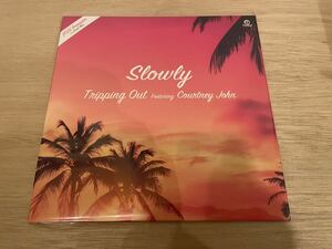 SLOWLY TRIPPING OUT (2022 REMASTER / SOUL MIX) アナログレコード FLRS144