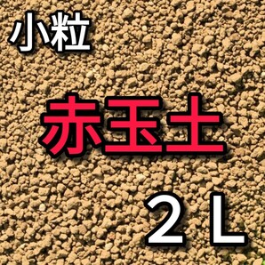 赤玉土 小粒 約2L