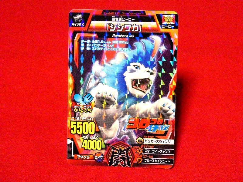 安いアニマルカイザー カイザーシシワカの通販商品を比較 安いアニマルカイザー カイザーシシワカの通販商品を比較