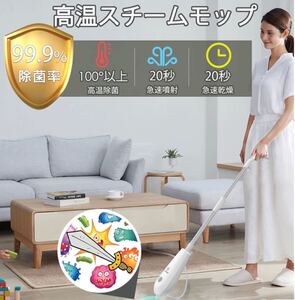 スチームクリーナー コンパクト 軽量 除菌 伸縮パイプ 操作簡単 大容量タンク付