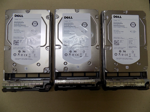 Dell Server SAS 3.5 HDD 300GB Cheetah 15K.7 6Gbps RPM15K マウンター付き!