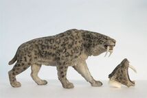 REBOR 1:11±1 マカイロドゥス STRAY CAT 剣歯虎 スタチュー 樹脂 模型 動物 古生物 リアル フィギュア 大人 おもちゃ オブジェ グレー_画像2