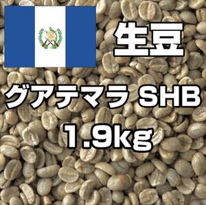 【コーヒー生豆】グアテマラ SHB 1.9kg　 ※送料無料