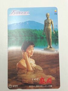 女性モデル いわて 盛岡 岩手山・御所湖とシオンの像 テレホンカード 105度数 未使用