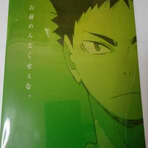 送料無料 ハイキュー!! Spirits File Collection スピリッツファイルコレクション 岩泉 青葉城西