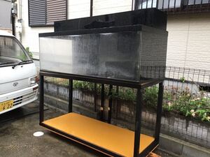 Bibian 比比昂 日本代標 日本代購 美國代標 美國代購 日本雅虎拍賣 日本美國推薦代購 Bibian 比比昂 日本代標 日本代購 美國代標 美國代購 日本雅虎拍賣 日本美國推薦代購